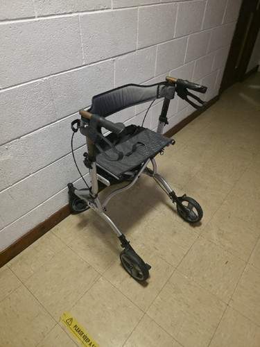 Bush mobility walker - mobility, with